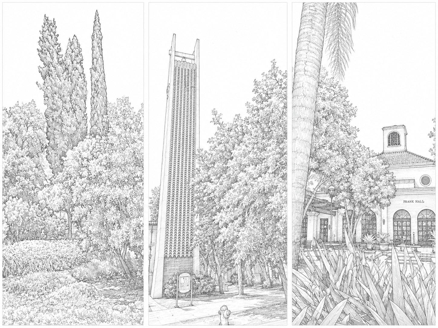 Intro page panel
